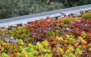 the cost of Weston Point green roof installation