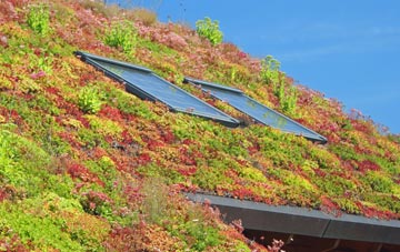 Weston Point living roof systems